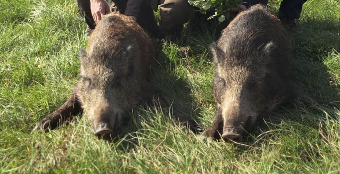 Des débuts remarquables pour Alice Lang.   Crédit : FDC 54