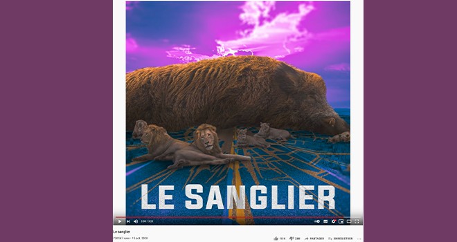 Le Sanglier Une Chanson Fun Et Absurde Chasseurs De L Est