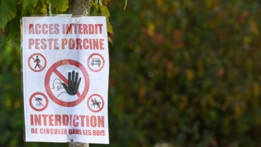 Crédit : Jean-Luc Flémal - BE/AdobeStock