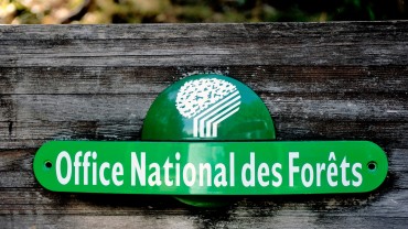 La décision de justice fait suite à plusieurs mois de litige entre l’ONF et des chasseurs. Crédit : Gilles Paire