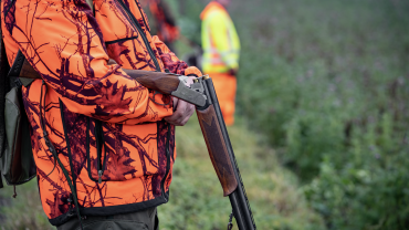 Le programme des évènements de 2026. Crédit : Countrypixel/AdobeStock