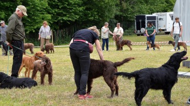Les démonstrations des chiens mettent en valeur les qualités de nombreuses races de travail. ©Y.Overney