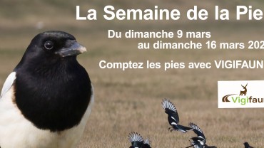 Crédit : FDC 57