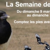 Crédit : FDC 57