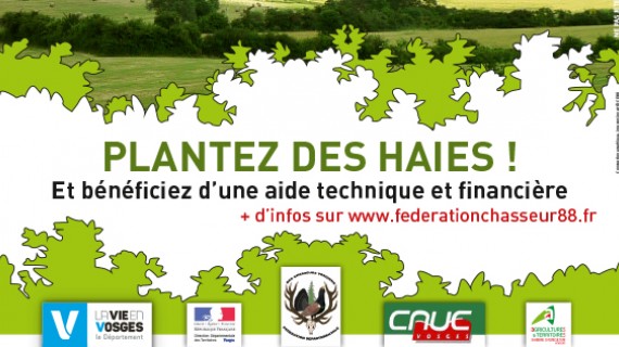 plantez des haies