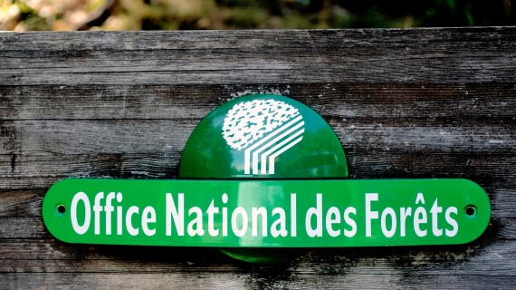 La décision de justice fait suite à plusieurs mois de litige entre l’ONF et des chasseurs. Crédit : Gilles Paire