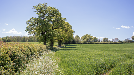 Crédit : Jenn's Photography/AdobeStock