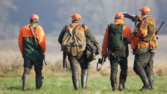 La demande de destruction des animaux nuisibles est à faire auprès de la Direction Départementale des Territoires