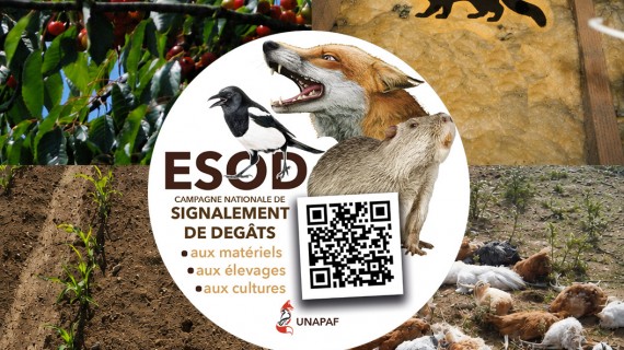 ©FDC57