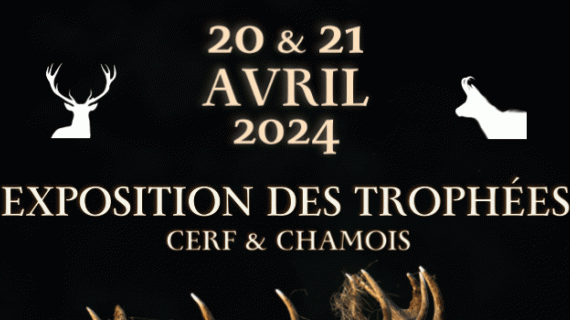 Présentez vos trophées les 20 et 21 avril avril à Thaon-les-Vosges. Crédit : FDC 88