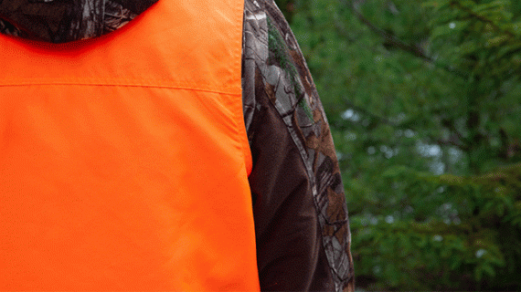 Les gilets roses viendront-ils accompagner les vêtements orange pendant les sortie de chasse ? Crédit : Rusty/AdobeStock
