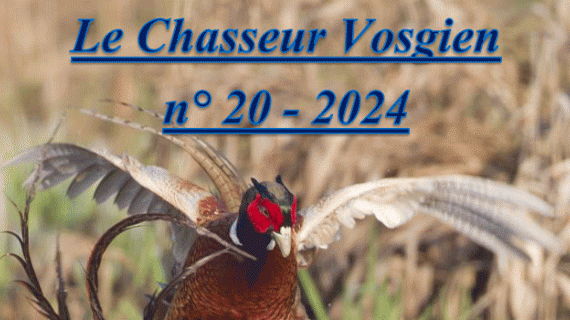 Le 20e numéro du « Chasseur Vosgien » est disponible. Crédit : FDC 88