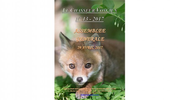 chasseur vosgien n°13