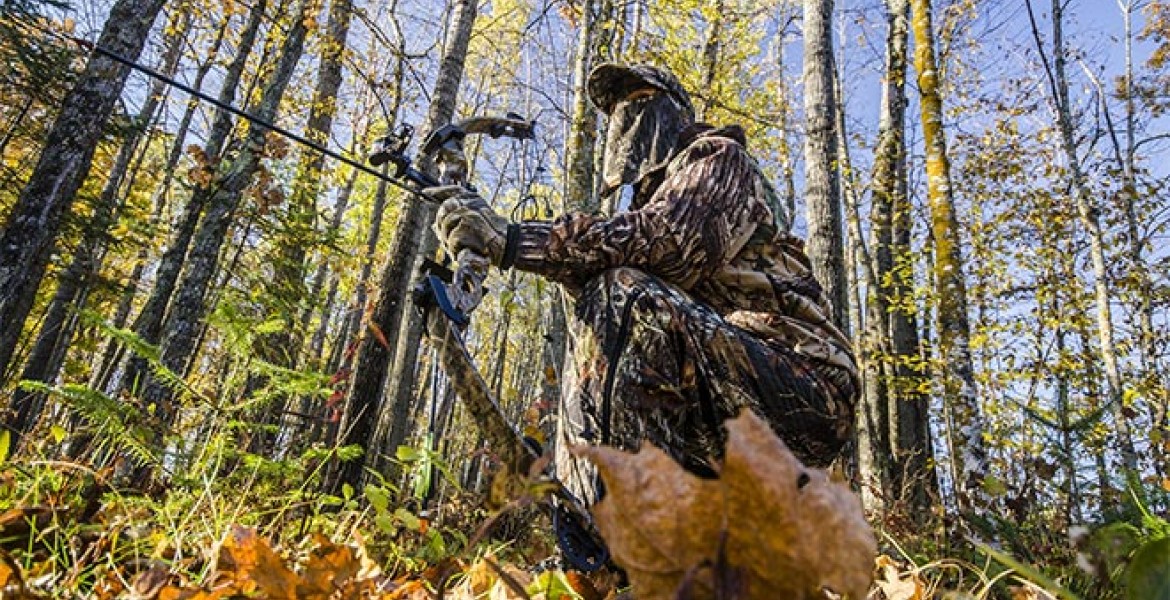 Chasse à l'arc, une lutte contre soi et la nature