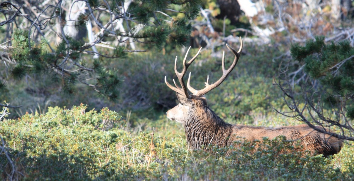 Crédit : arenysam/AdobeStock