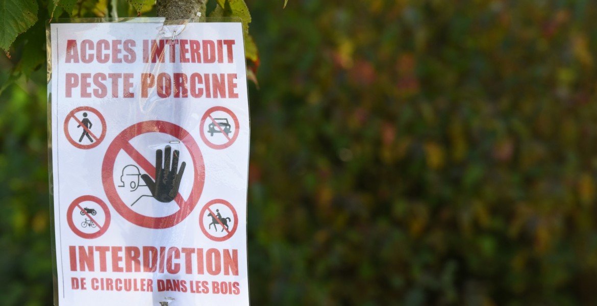 Crédit : Jean-Luc Flémal - BE/AdobeStock