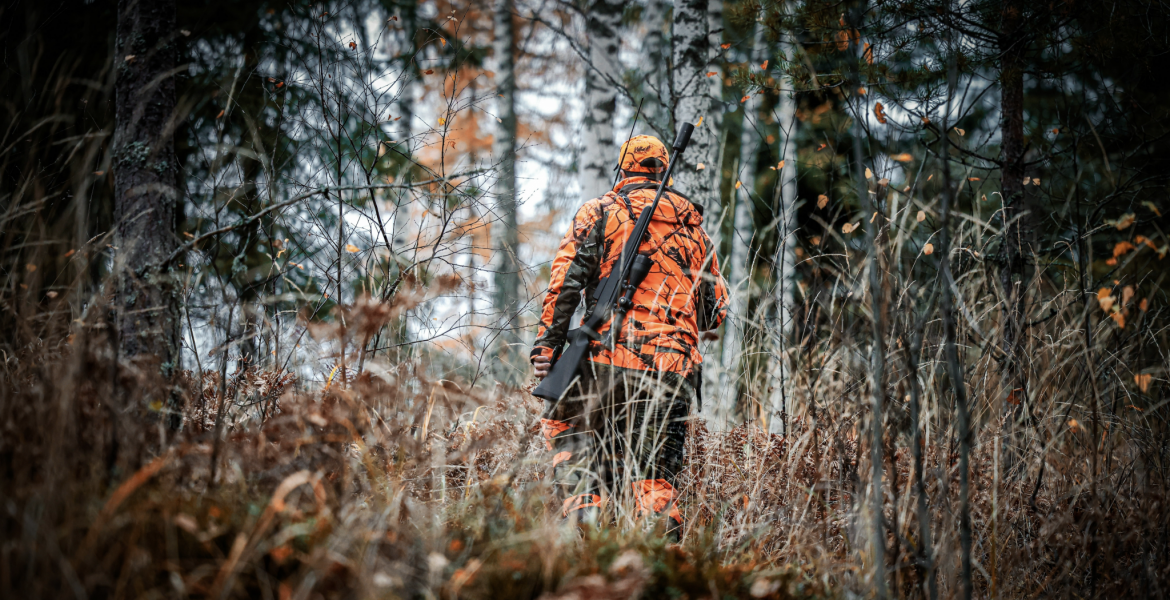 Crédit : Petri Kettunen/Wirestock Creators/AdobeStock