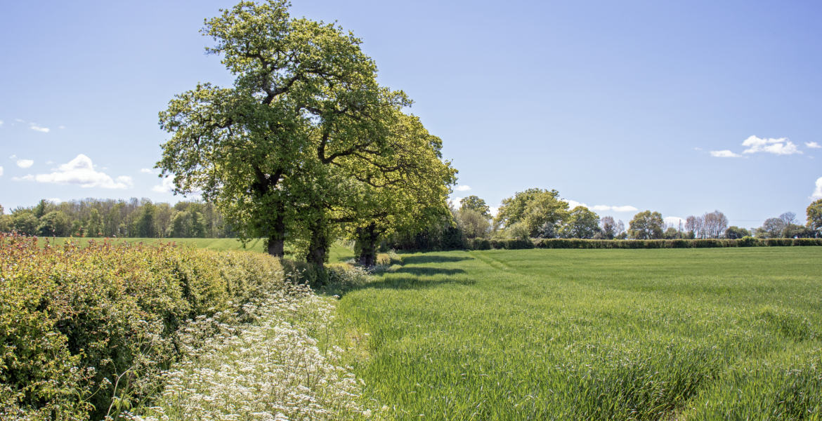 Crédit : Jenn's Photography/AdobeStock