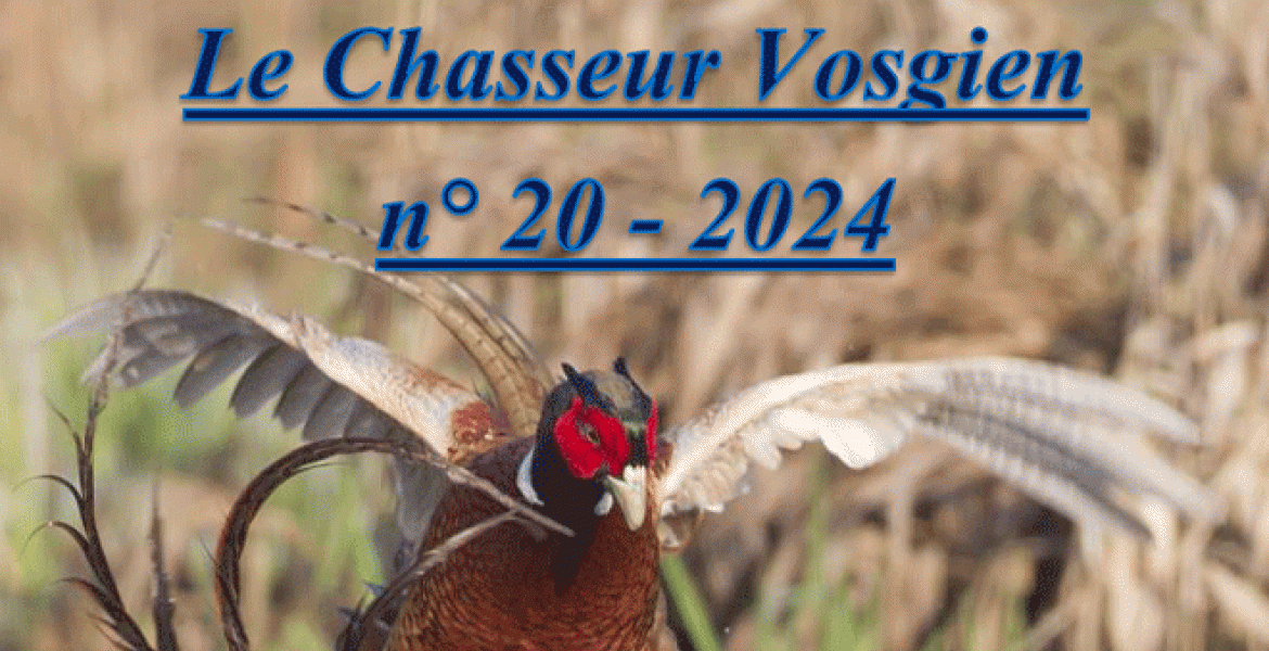 Le 20e numéro du « Chasseur Vosgien » est disponible. Crédit : FDC 88