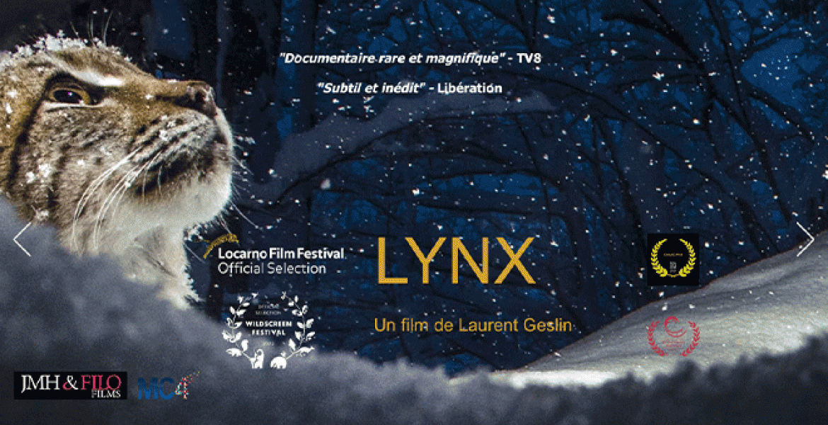 "Lynx" est un film de Laurent Geslin. Crédit : DR