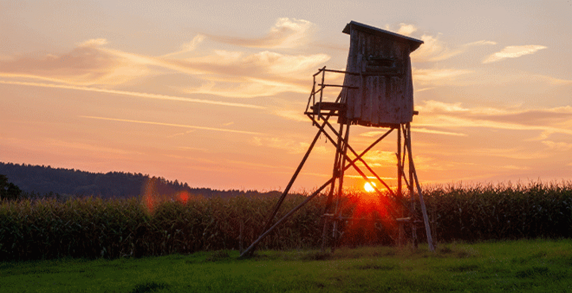 Les chasseurs soulignent que les miradors sont essentiels pour la sécurité lors de la chasse. Crédit : Daniel/AdobeStock