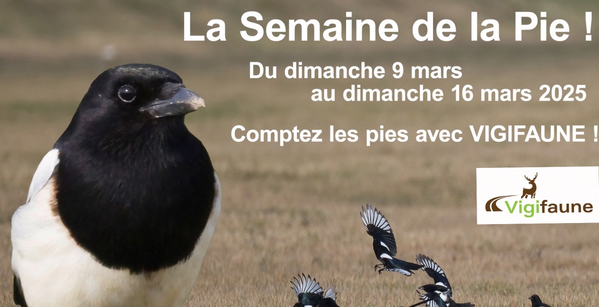 Crédit : FDC 57