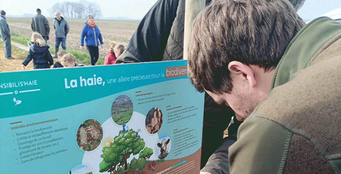 Plantation Sensibilis’haie. Crédit : FDC 55